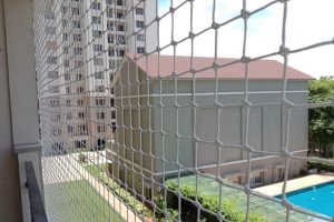 IMG-20251013-WA0011 IMG-20251013-WA0011